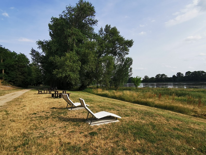 Aire de pique-nique au parc Henri Coullaud de Saint-Denis-de-l'Hôtel, Saint-Denis-de-l'Hôtel - photo 5