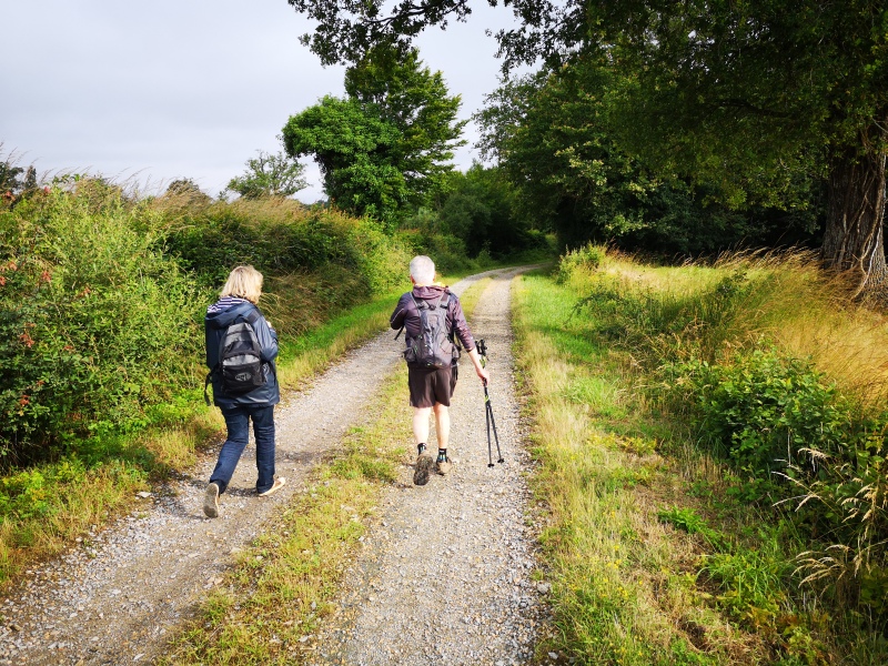 Circuit pédestre n° 46 "Fênetre sur le bocage", La Berthenoux