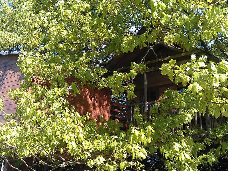 La Cabane aux Chênes, Saunay - photo 4