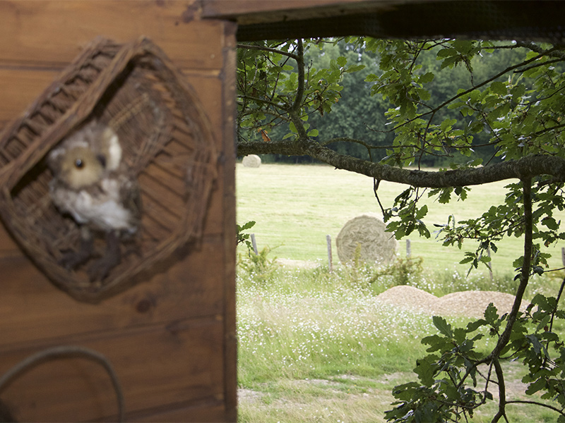 La Cabane aux Chênes, Saunay - photo 3