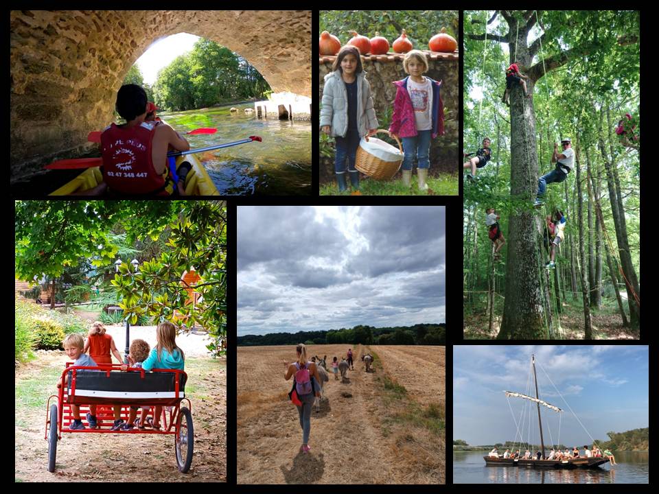 La cave Margot - l'Atelier, Lunay - photo 9