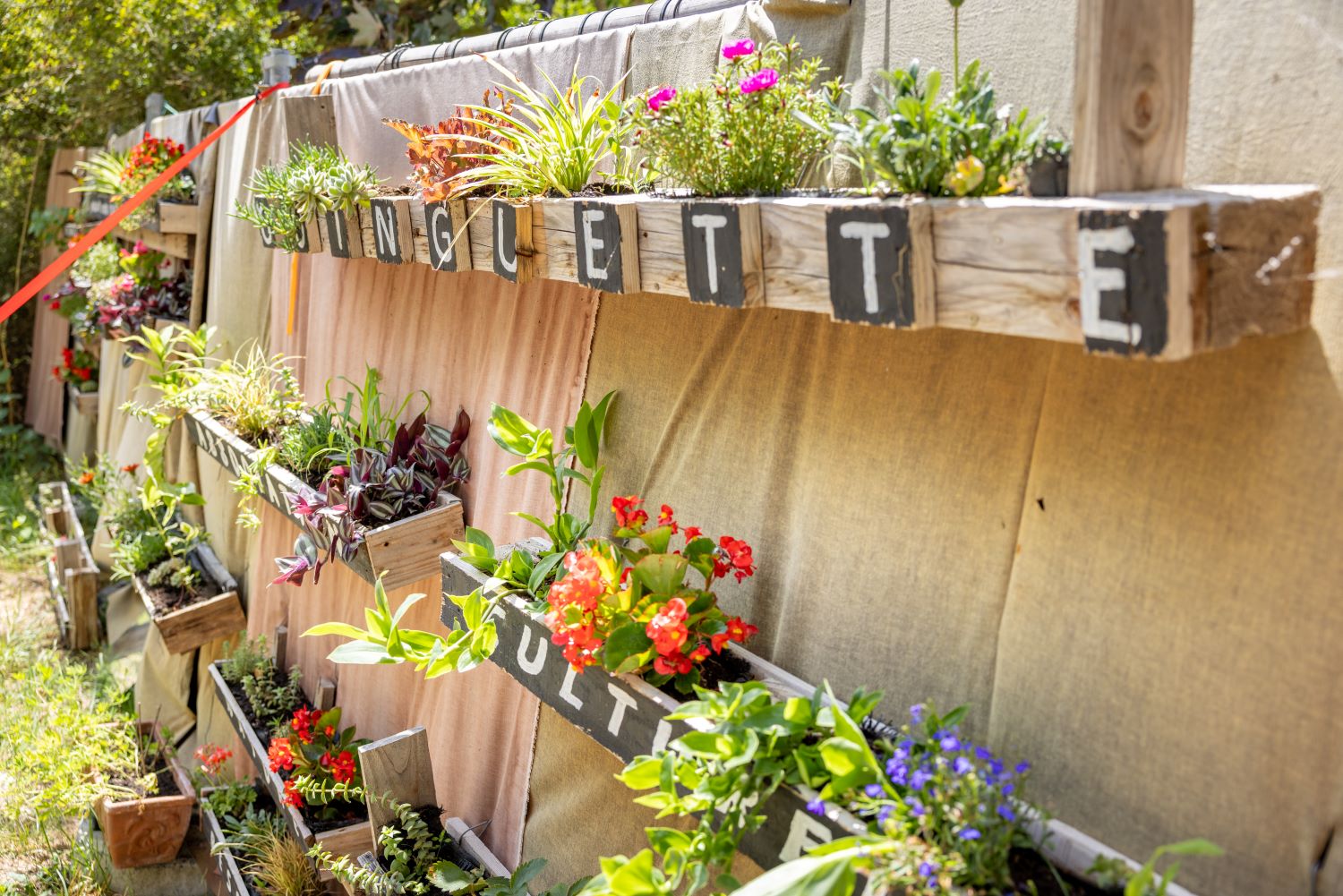 Guinguette La Corne des Pâtures, Baule - photo 7