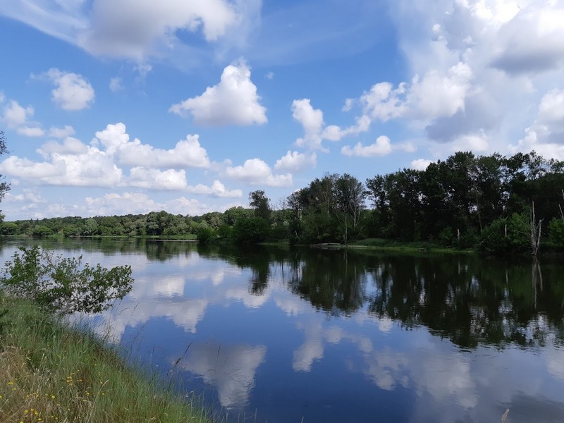 Boucle 18 - Dans les pas de Maurice Genevoix, Saint-Denis-de-l'Hôtel - photo 10