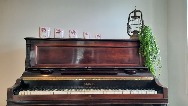 Ruelle du Roc|Gîte cosy Touraine, Civray-de-Touraine - photo 7