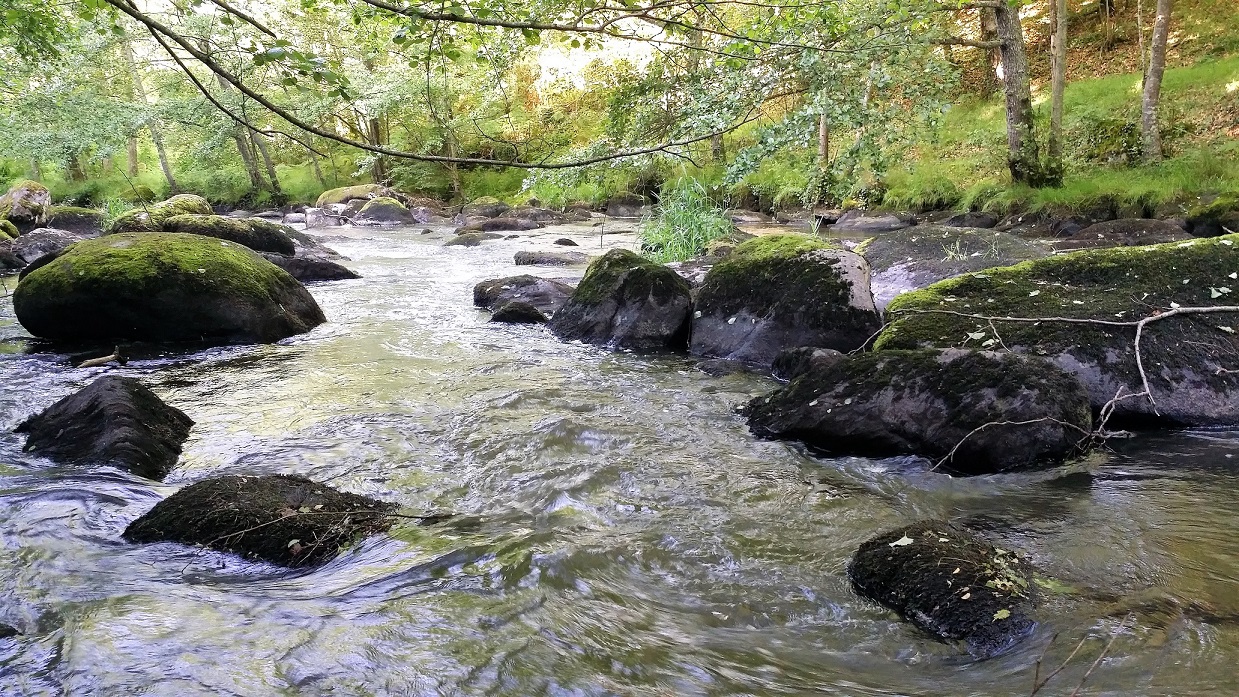 Les Fougères du Lac : Gîte Guillaumin, Saint-Plantaire - photo 20