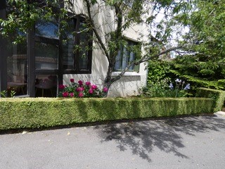 La Véranda, Verdigny - photo 2