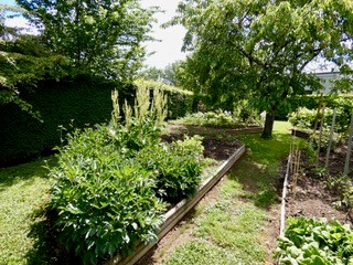 La Véranda, Verdigny - photo 3