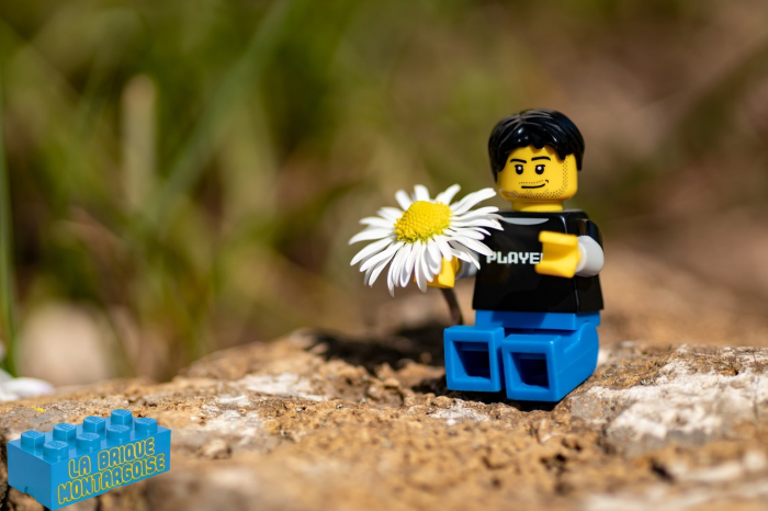 Atelier Lego® de l’été avec la Brique Montargoise