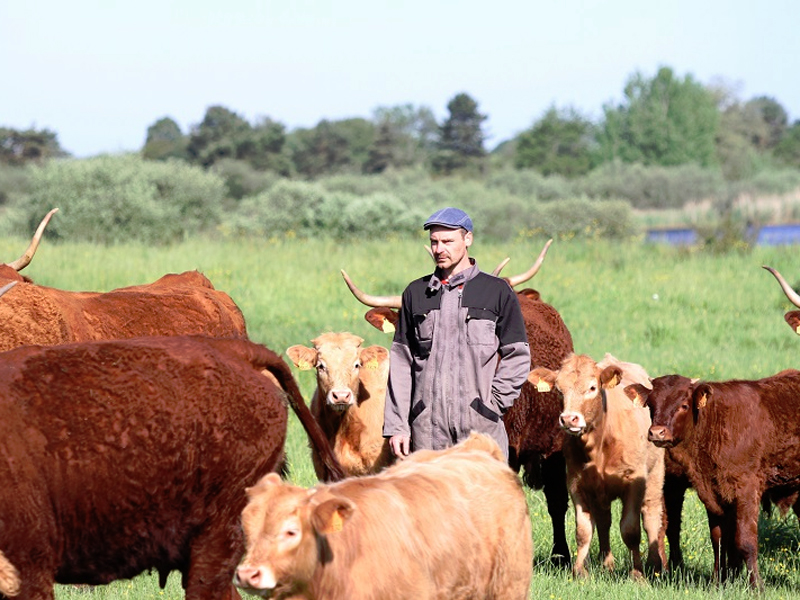 GAEC de La Carrière