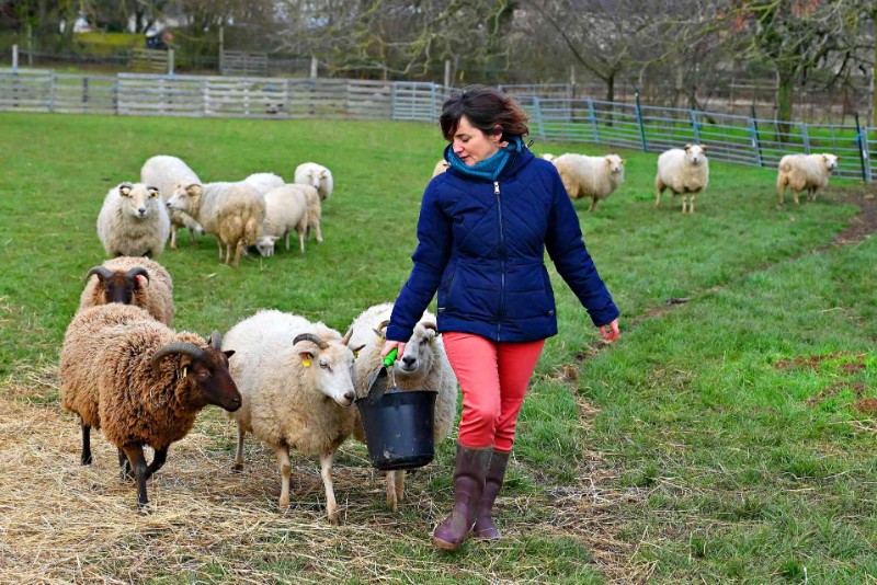 Visite à la ferme des petits bergers — photo 2