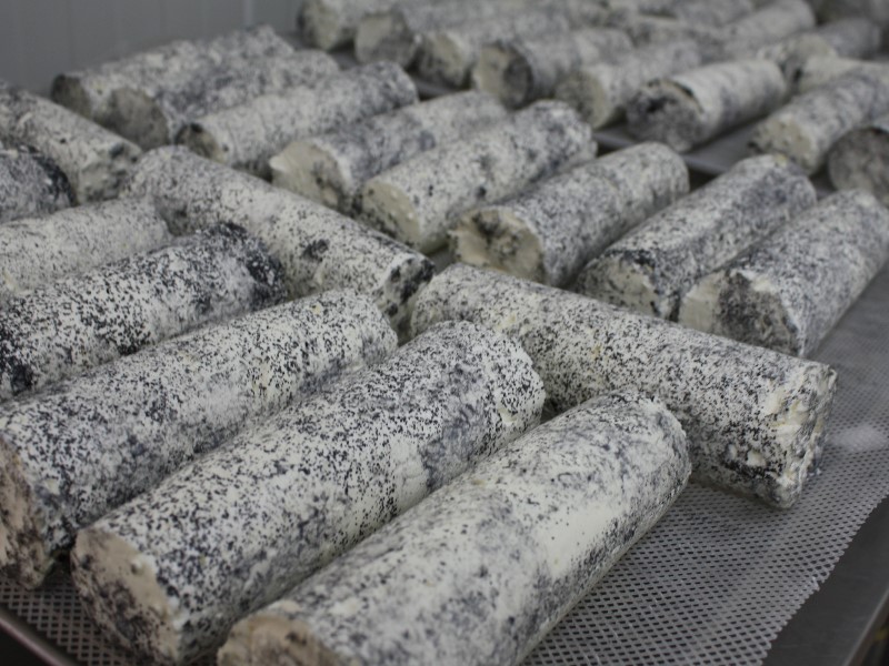 Atelier découverte : Les chevrettes et la magie du fromage