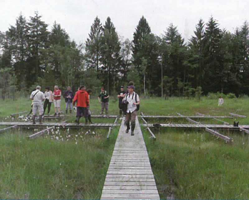 La Tourbière de la Guette