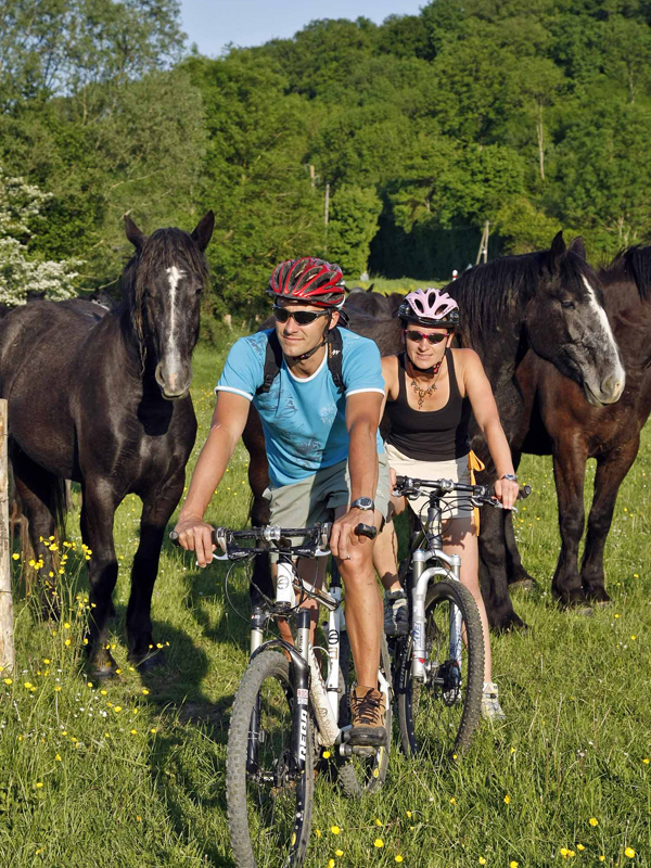 La vallée de l'Yerre