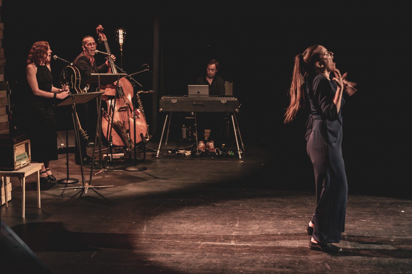 Spectacle - La Valse à Mille Signes