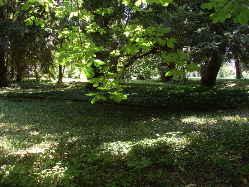 La Héraudière - chambres d'hôtes, Tours - photo 5