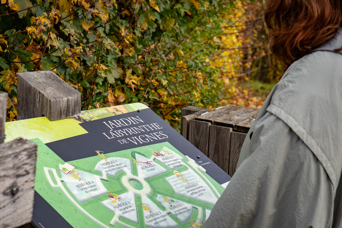 Jardins Labyrinthe de Vignes, Quincy - photo 2