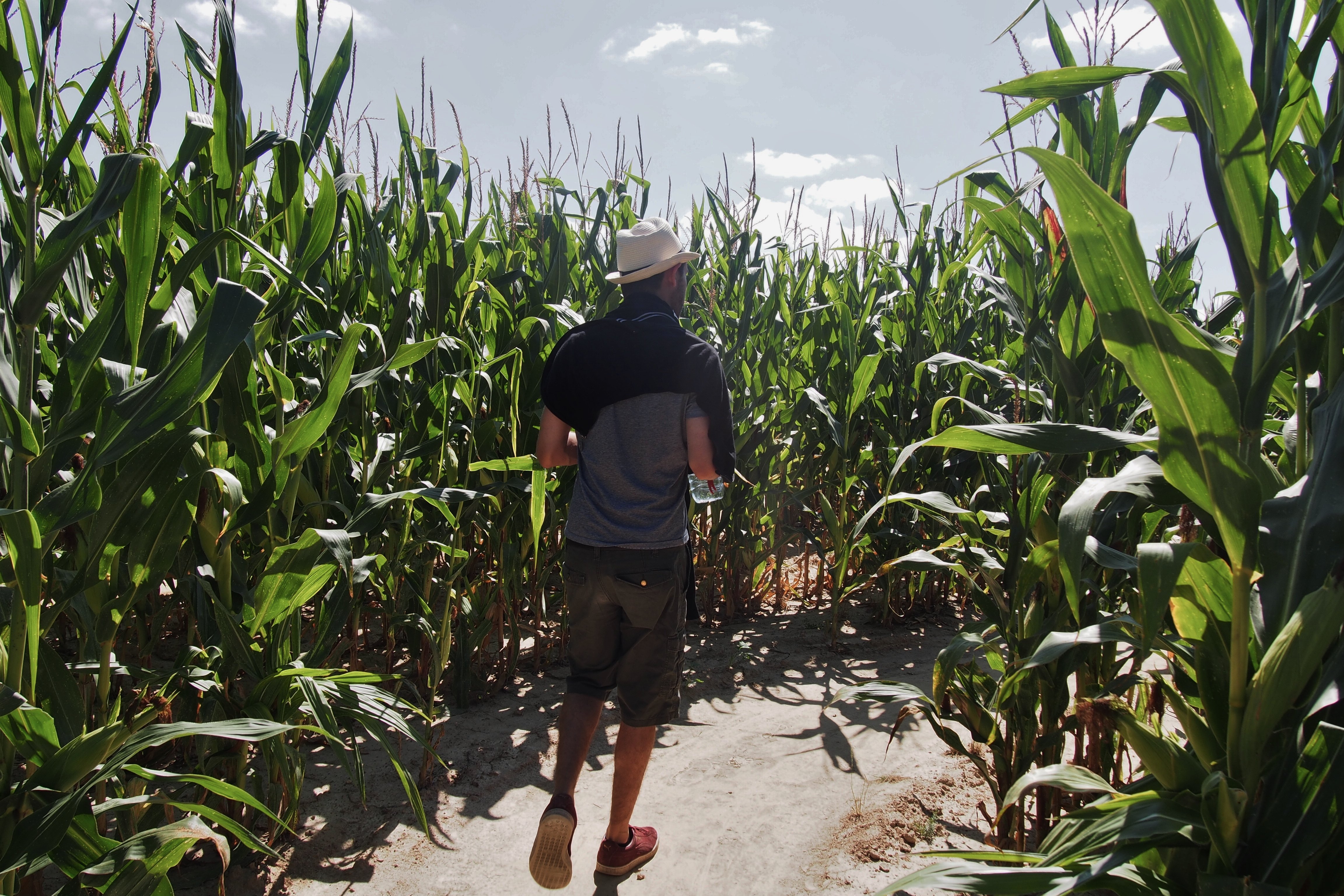 Labyrinthe du Thimerais, Saint-Maixme-Hauterive - photo 4
