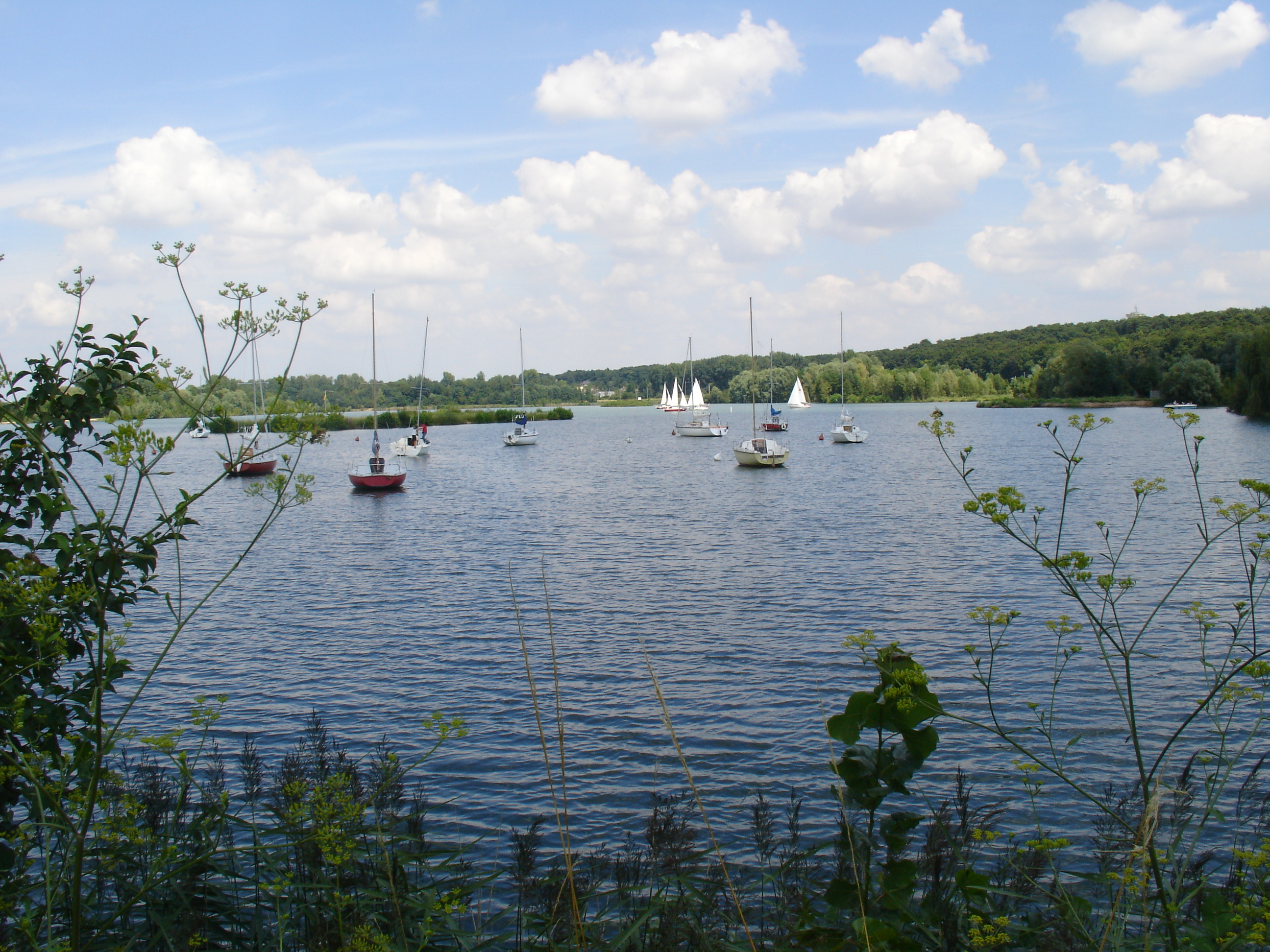 Étangs de Cepoy, Cepoy - photo 3