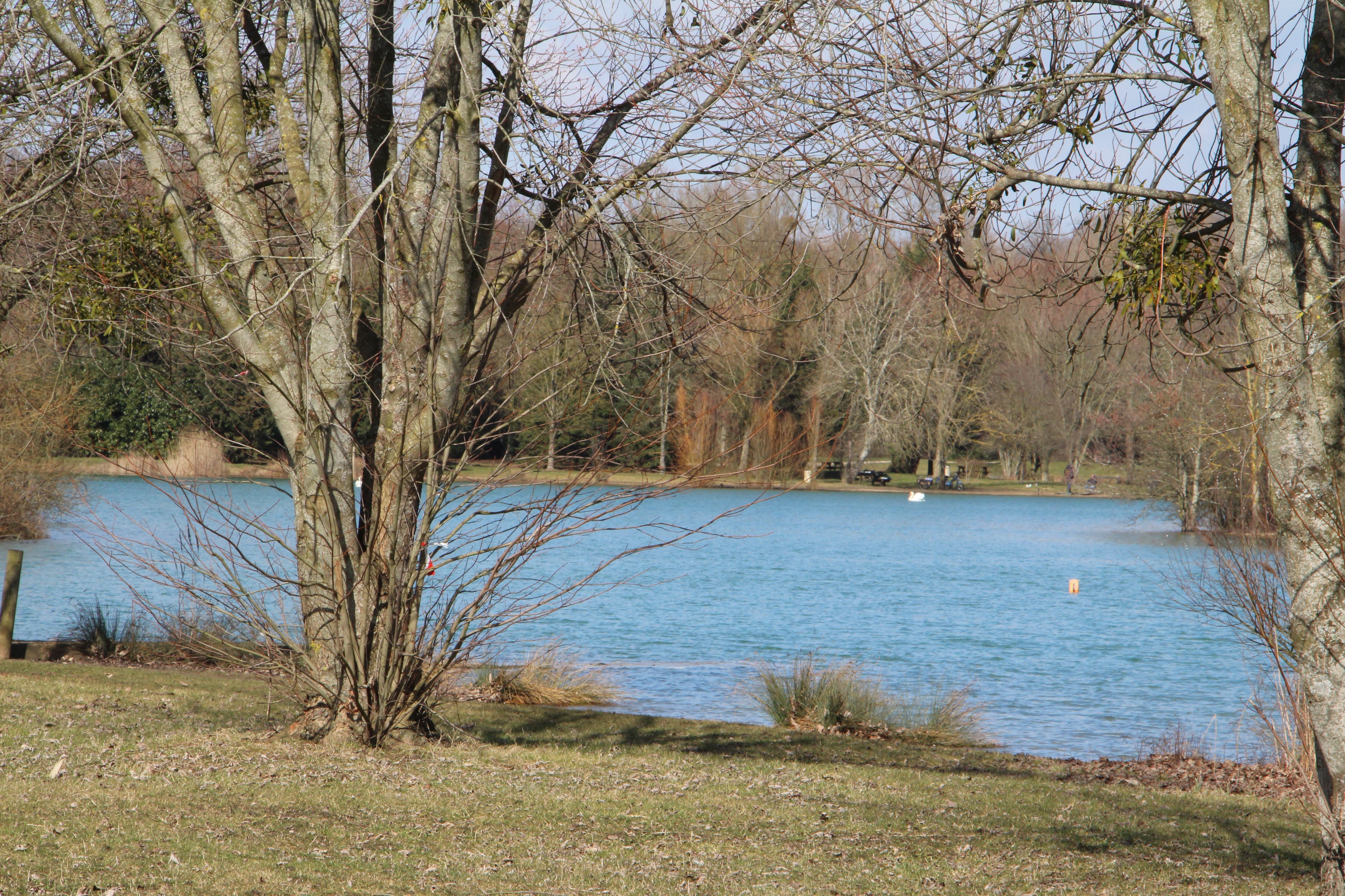 Lac de Châlette, Châlette-sur-Loing - photo 3