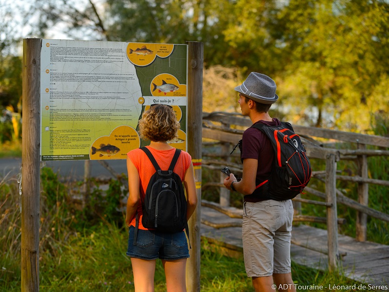 Le lac de Rillé, Rillé - photo 2