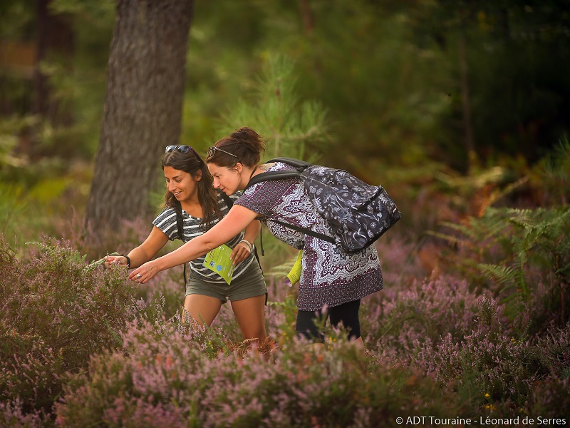 Le lac de Rillé, Rillé