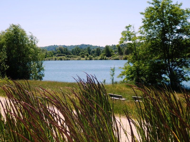 Tour du Lac de Virlay, Saint-Amand-Montrond - photo 3