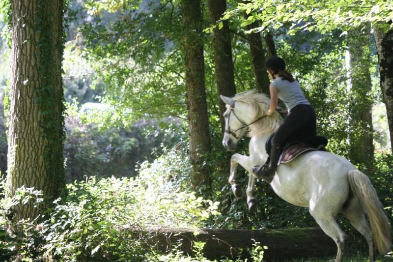 SARL Ecuries de Laleuf — photo 3