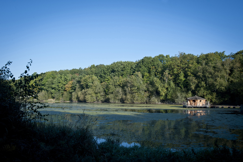 Les Cabanes du Bois-Landry, Champrond-en-Gâtine - photo 9