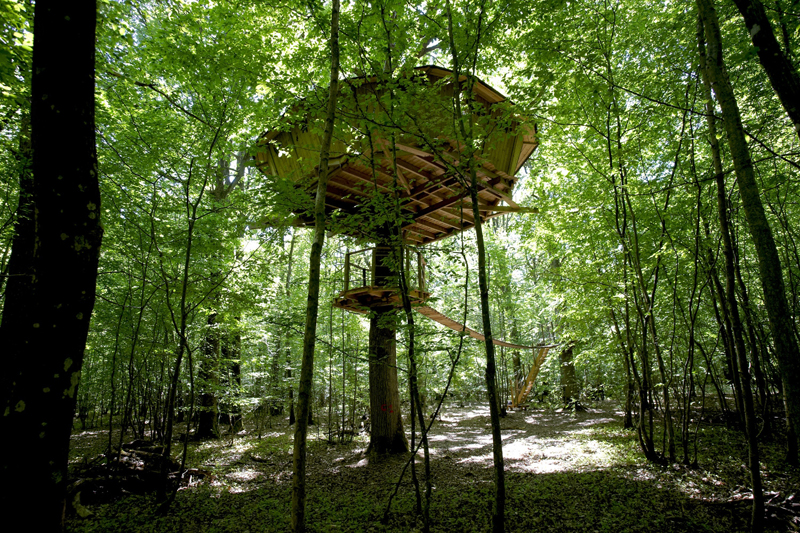 Les Cabanes du Bois-Landry, Champrond-en-Gâtine - photo 18