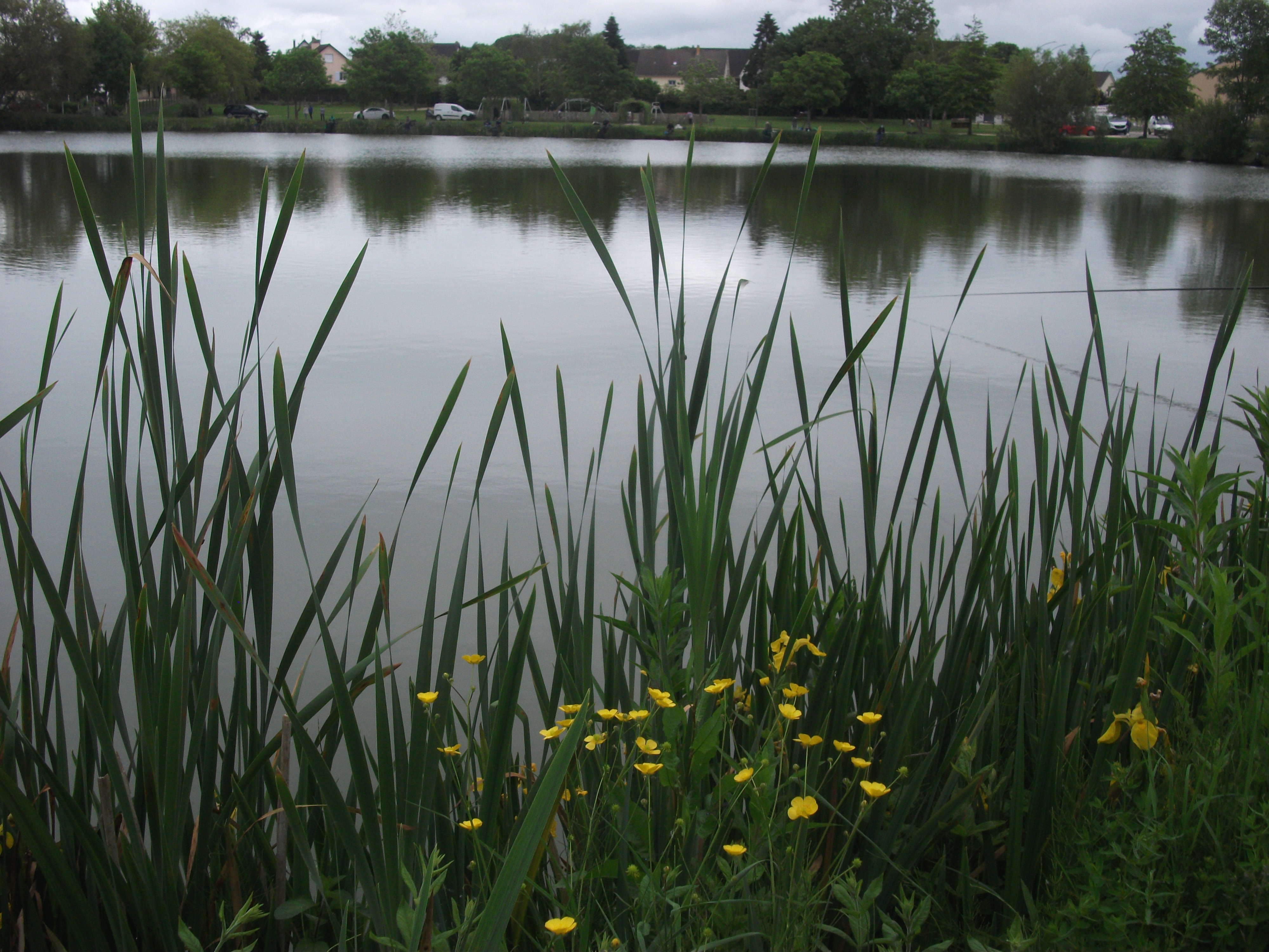 Parcours découverte à l'Etang du Petit Gasloup - Site de pêche labellisé - parcours découverte