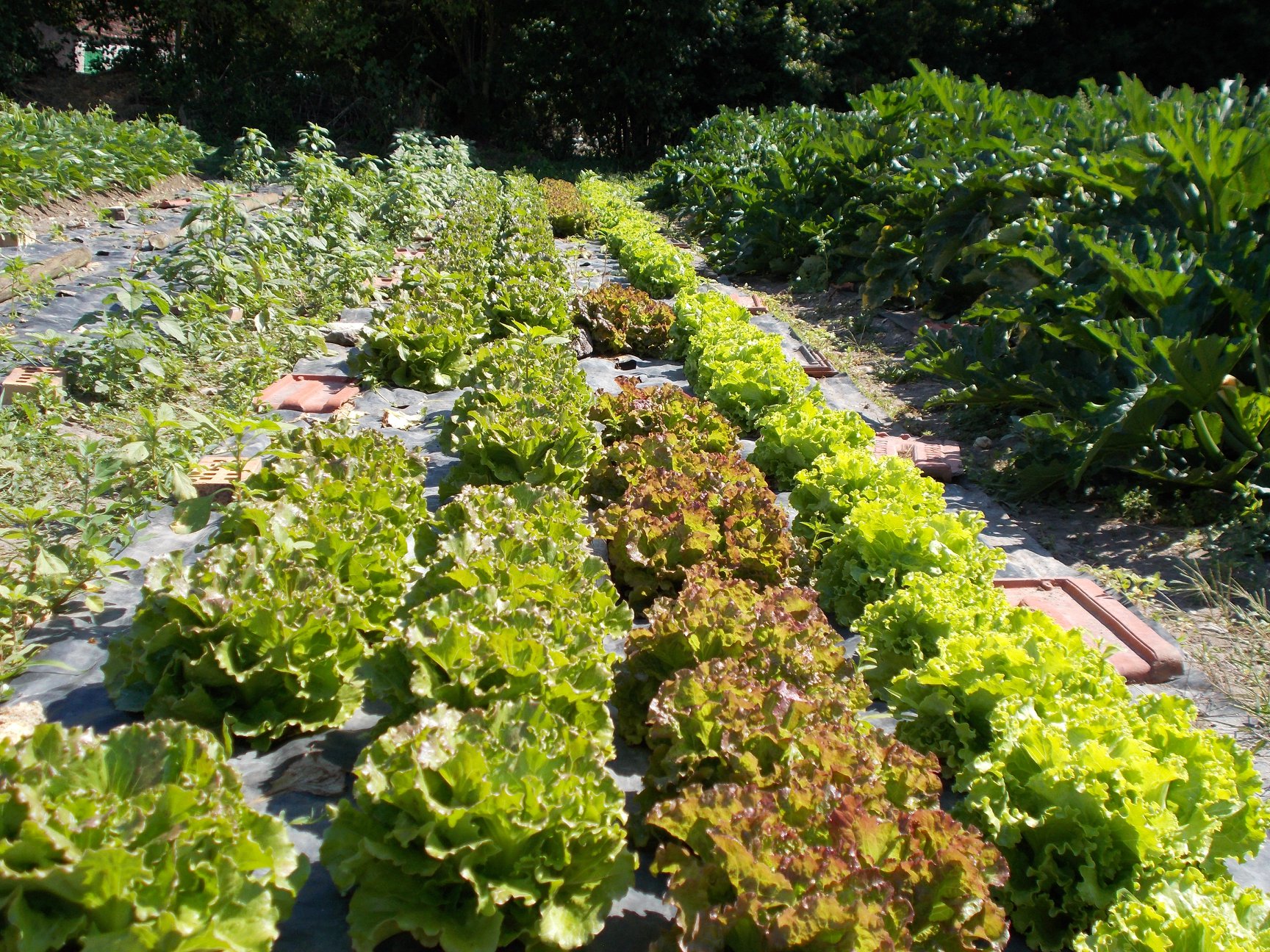 Le Jardin des Gallerands