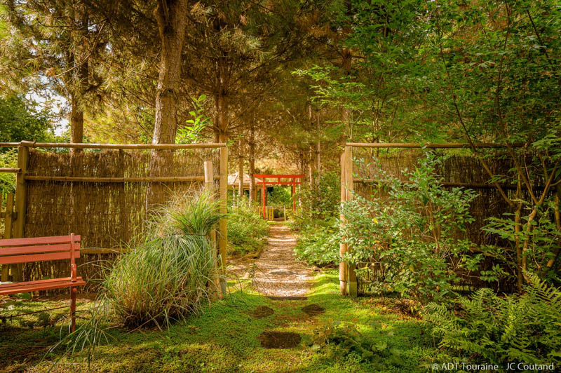 Le Jardin de Mireille en Touraine Angevine, Channay-sur-Lathan - photo 6