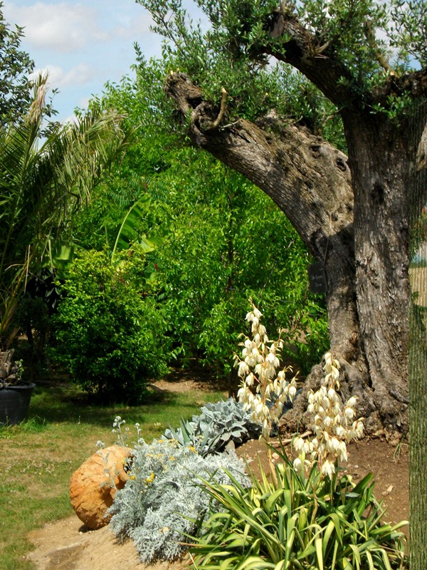 Le Jardin des 4 saisons, Bazoches-les-Gallerandes