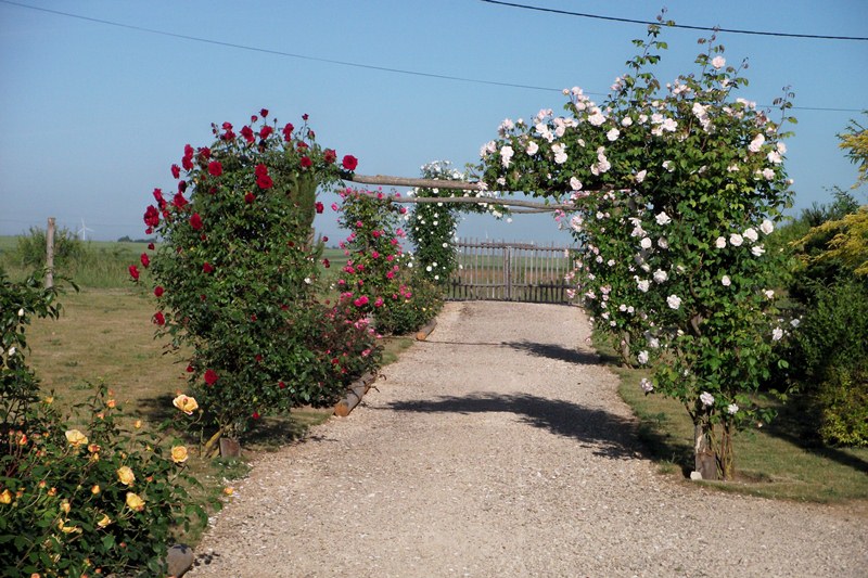 Le Jardin des 4 saisons, Bazoches-les-Gallerandes - photo 2