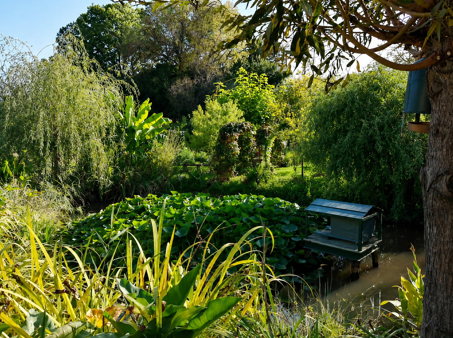 Bienvenue dans mon Jardin : Le Jardin des Trois Mares