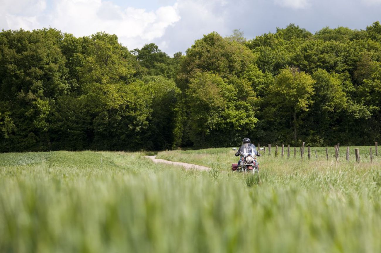 Le Loiret à moto : Le Gâtinais ou la vie sauvage, Montargis - photo 4