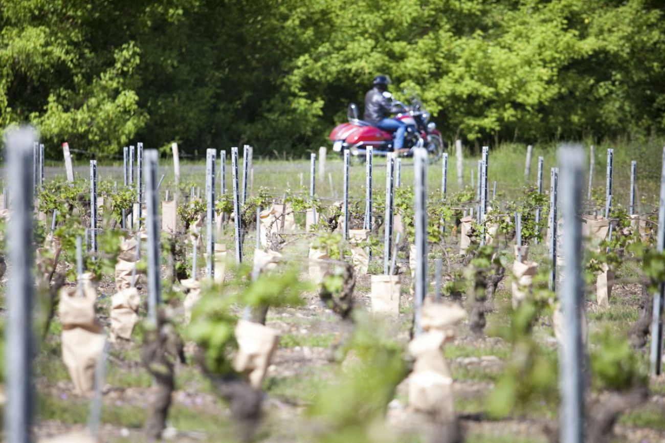 Le Loiret à moto : Le long de la Loire, de Briare à Orléans — photo 2
