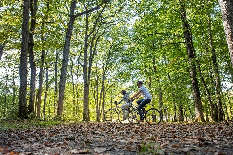 L’Âne et le roi, de l’étang du Pas-aux-Ânes à la Cité royale. Boucle vélo n°4 — photo 2