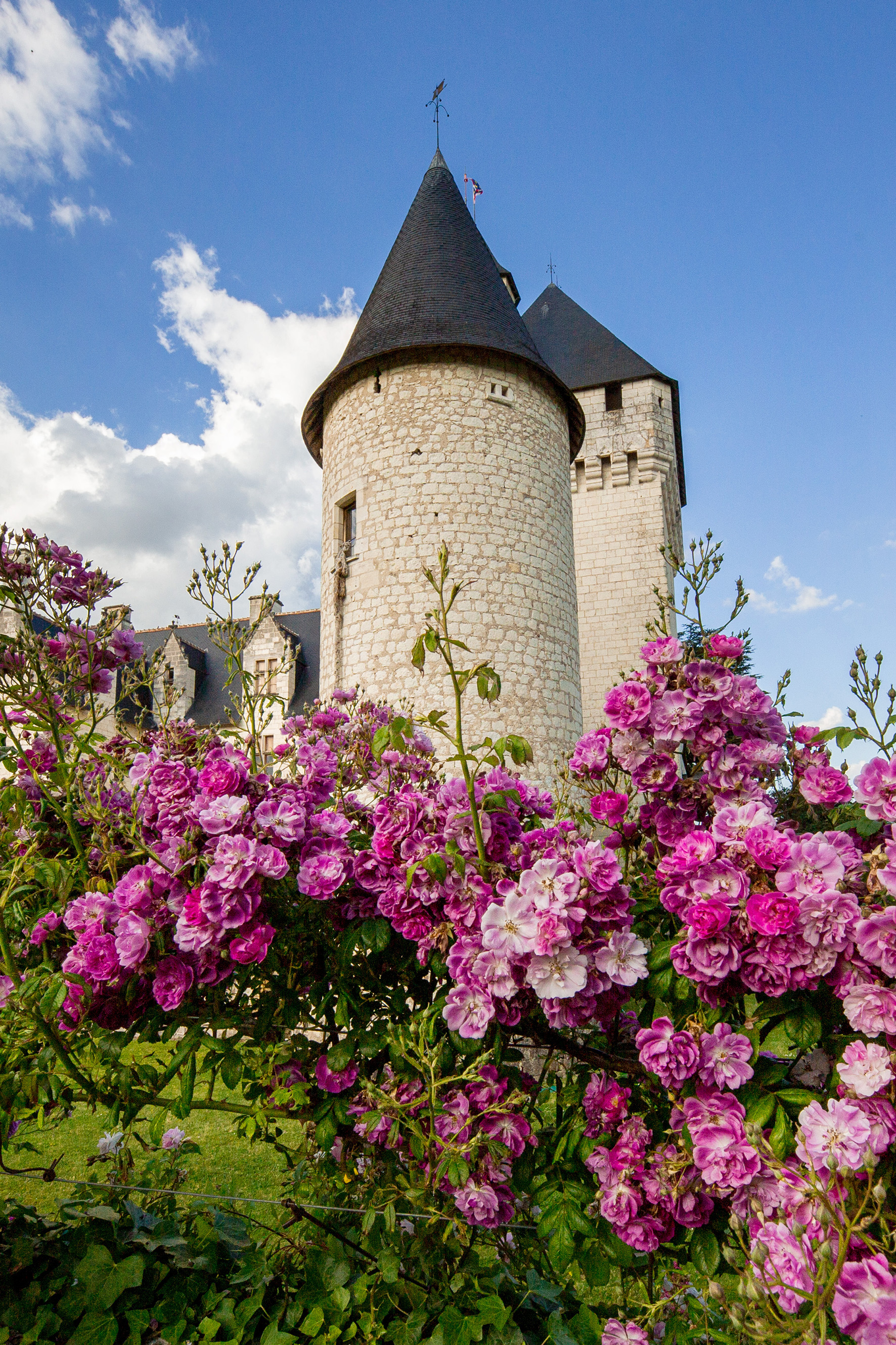 Fête des Roses, Lémeré - photo 8