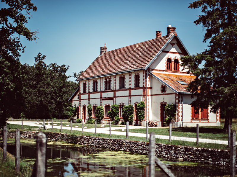 Domaine De La Trigaliere - Le Séchoir
