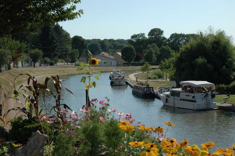 Circuit "Le canal et les étangs de Puisaye", Ouzouer-sur-Trézée - photo 5