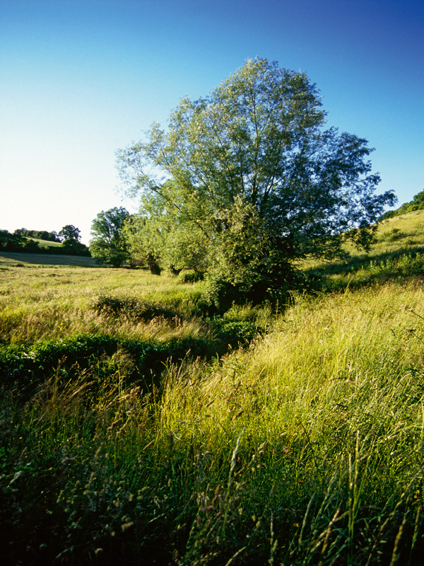 Le moulin d'Arcisses