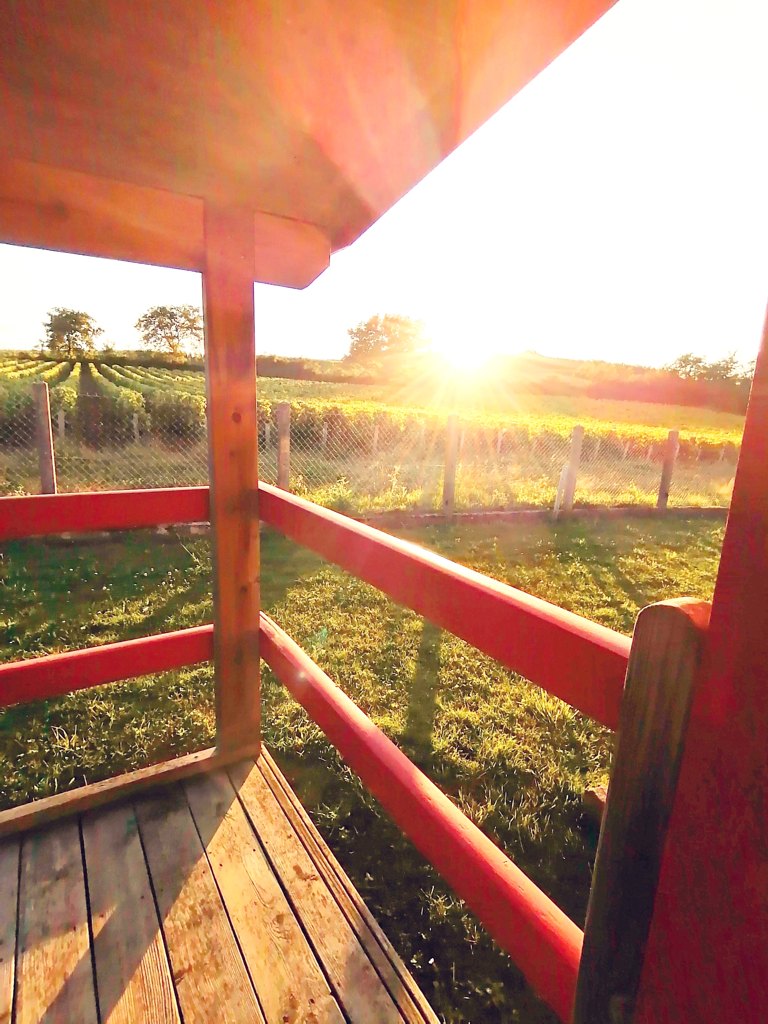 Les Chalets de Sancerre, Thauvenay - photo 4