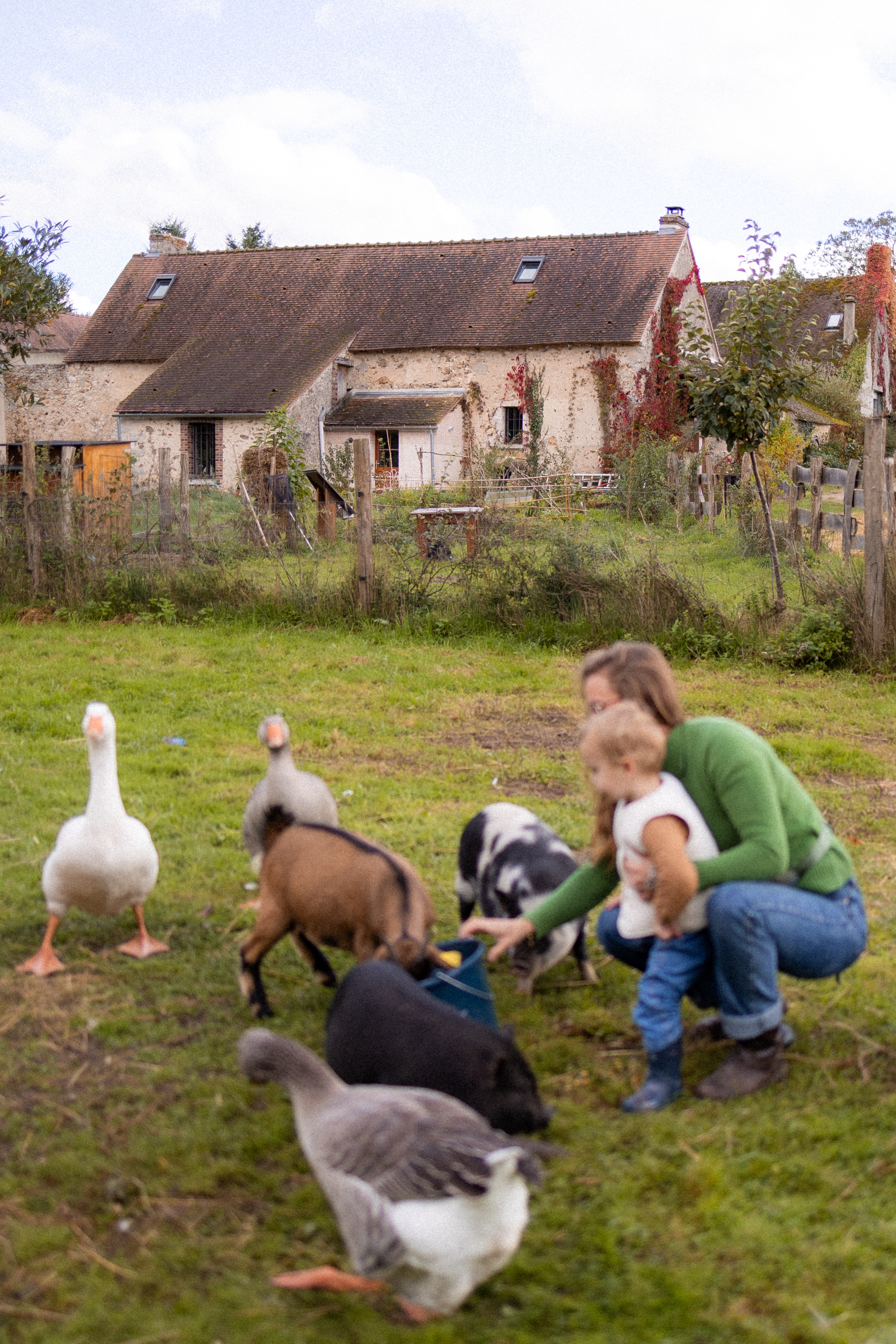 Les activités des Clés de la Ferme - Ferme pédagogique, Chevannes - photo 6