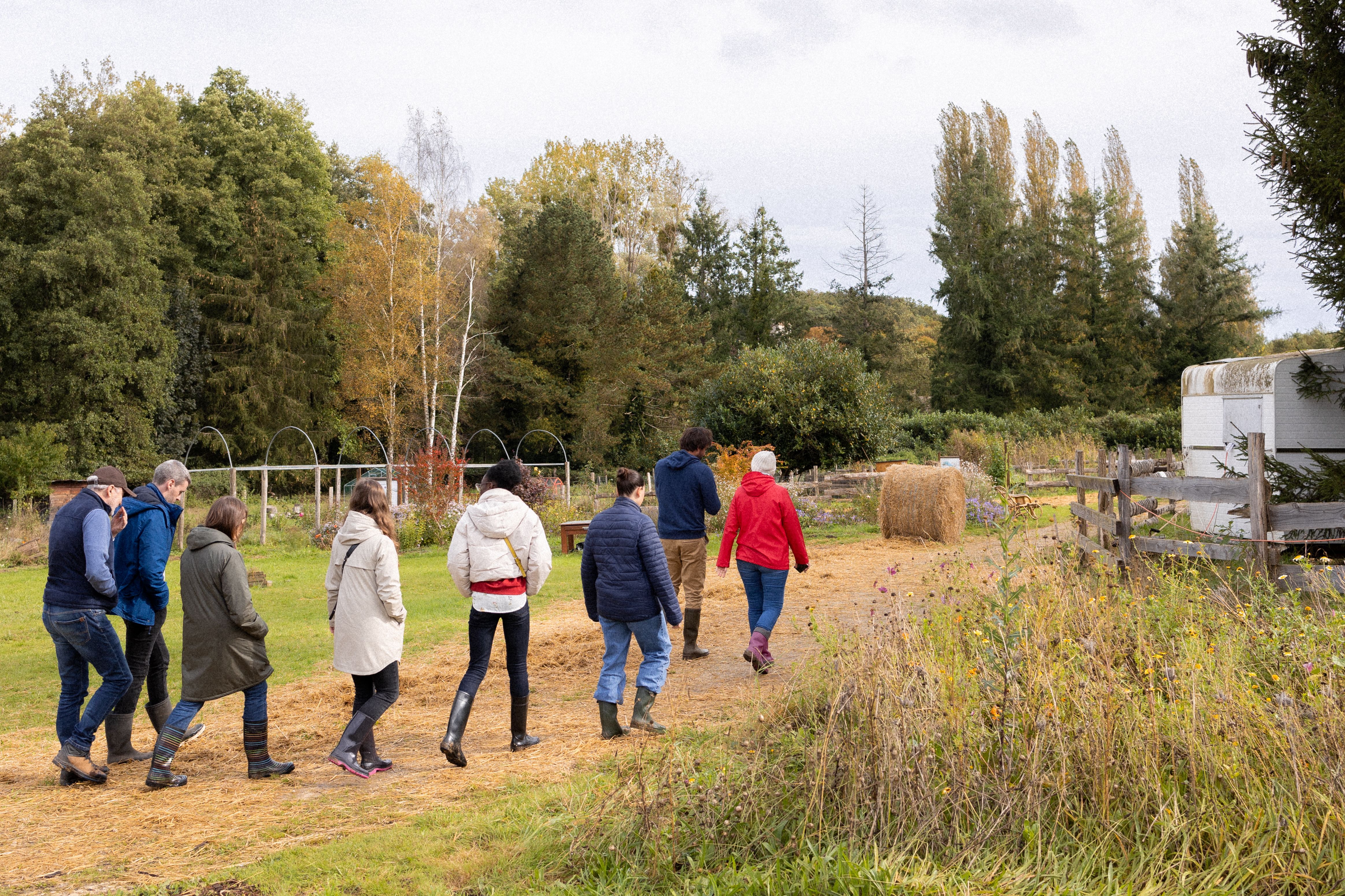Les activités des Clés de la Ferme - Ferme pédagogique, Chevannes