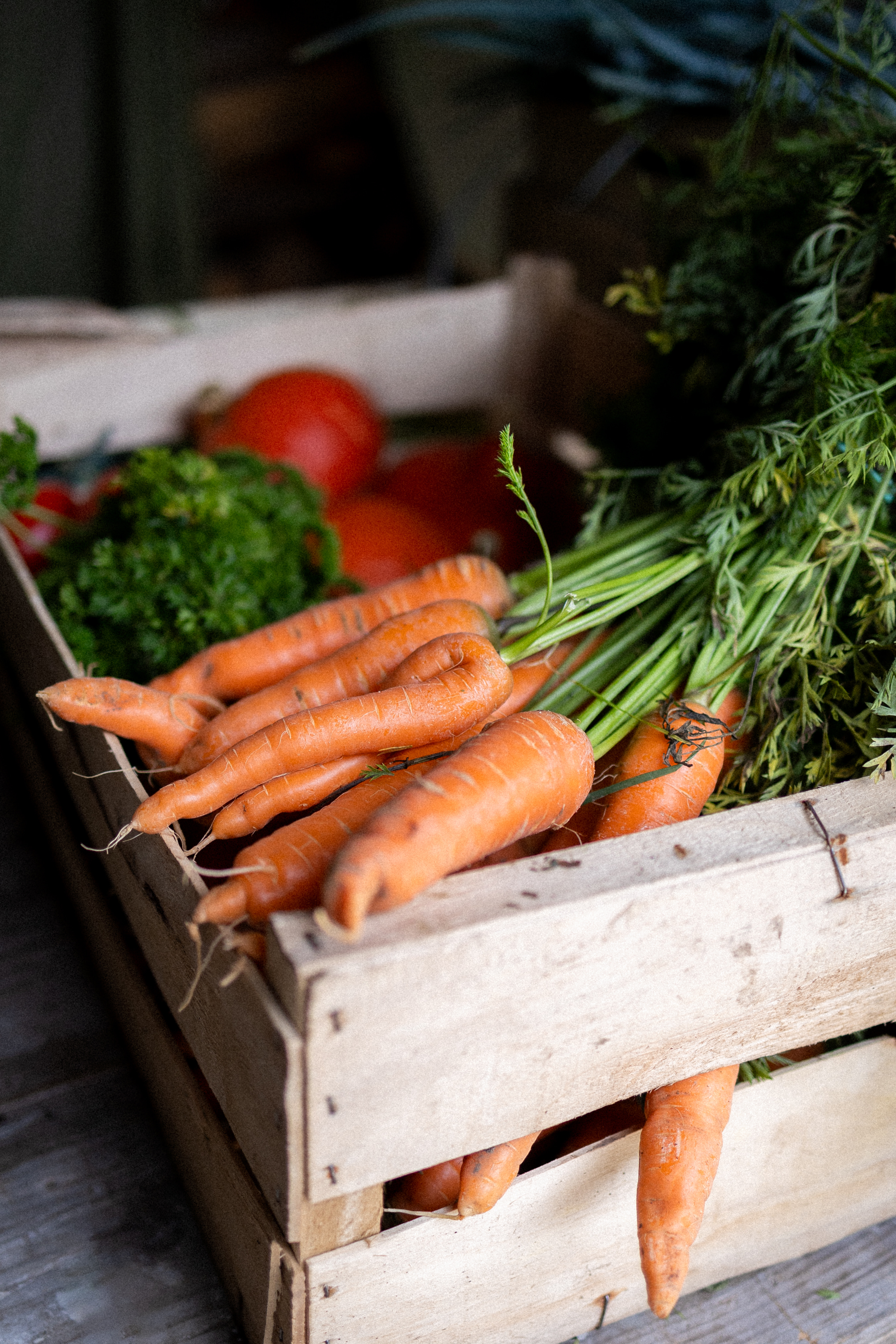 Les activités des Clés de la Ferme - Ferme pédagogique, Chevannes - photo 5