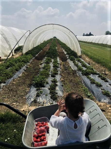 Les Jardins d’Imbermais