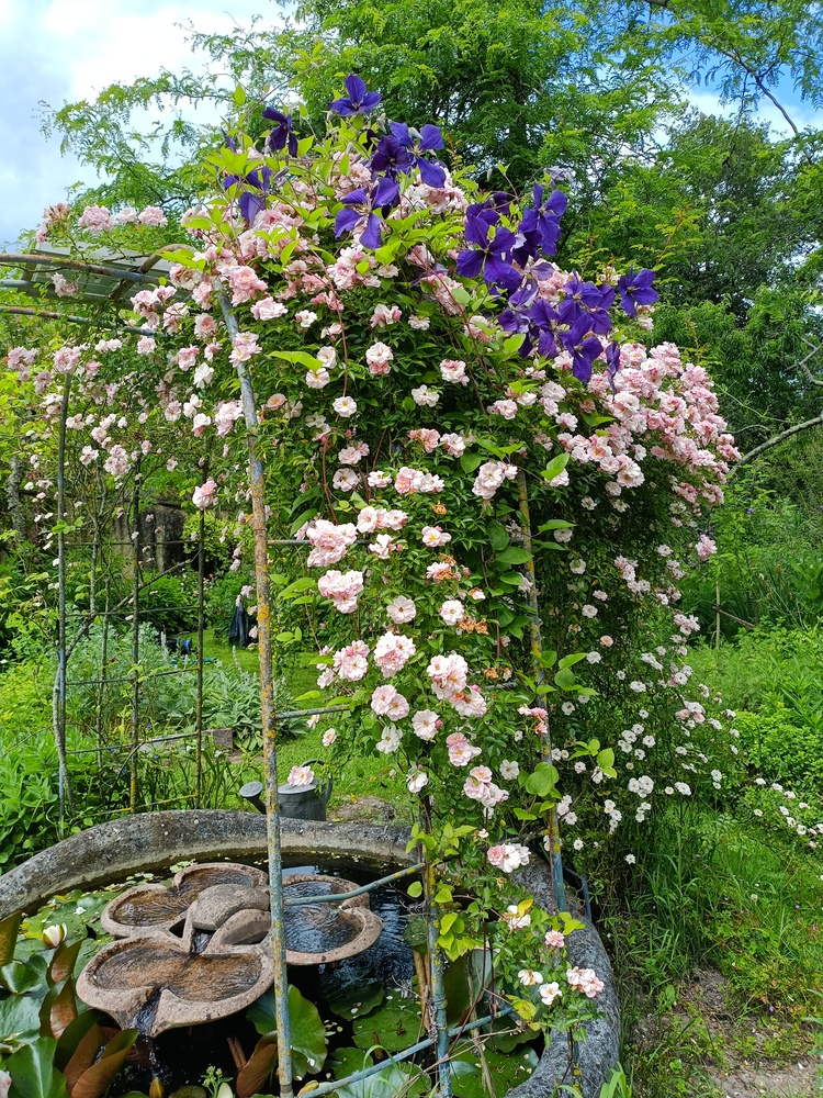 Les Jardins d’Eaux Vives, Saint-Laurent