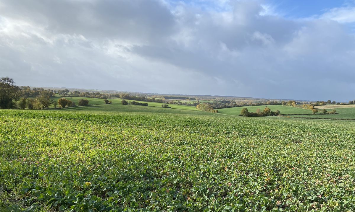 Circuit des Montagnes