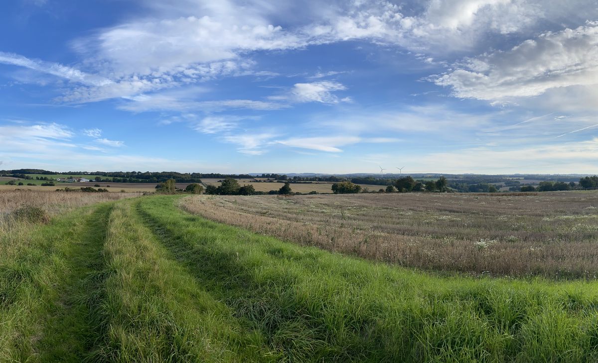 Circuit des Montagnes, Cernoy-en-Berry
